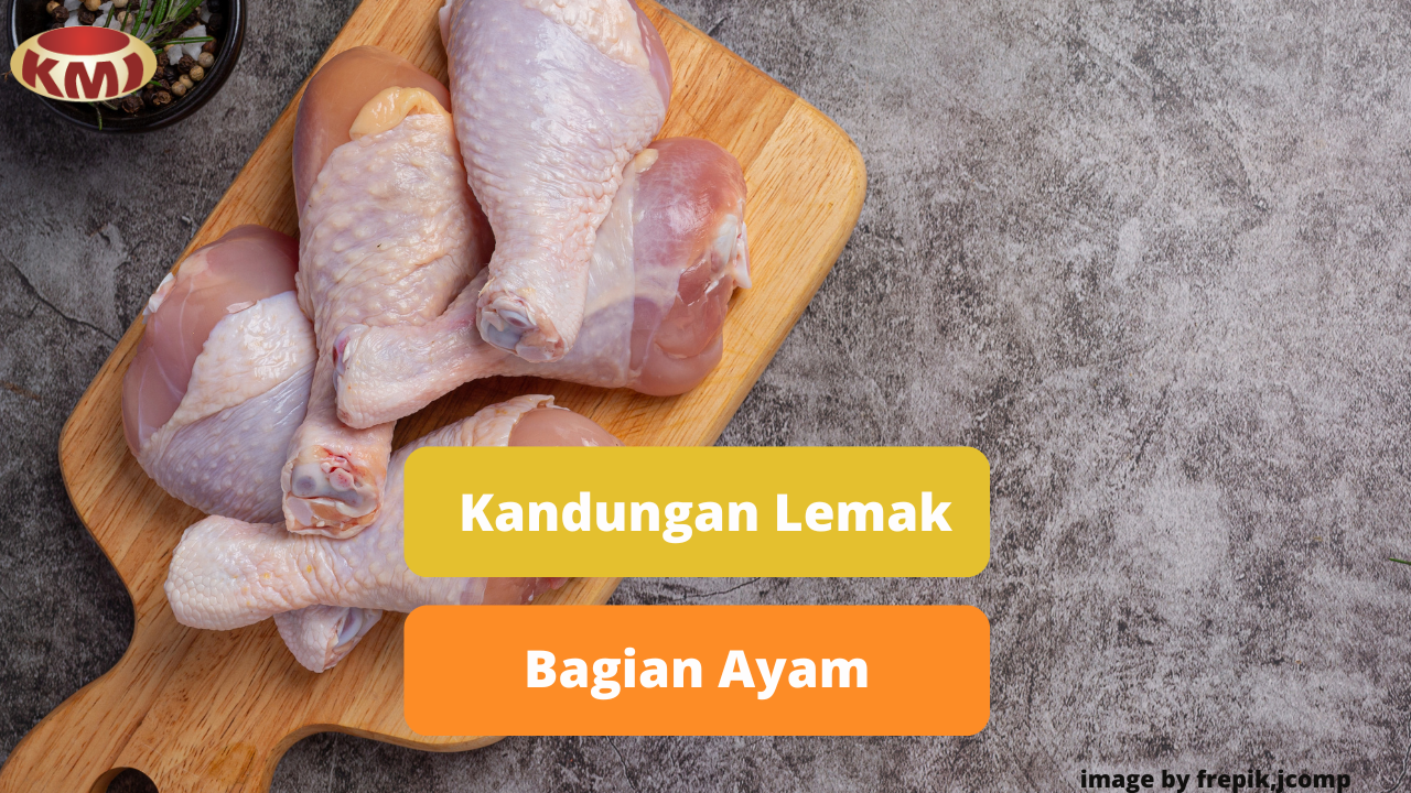 Ketahui Perbedaan Kandungan Lemak Pada Bagian Tubuh Ayam